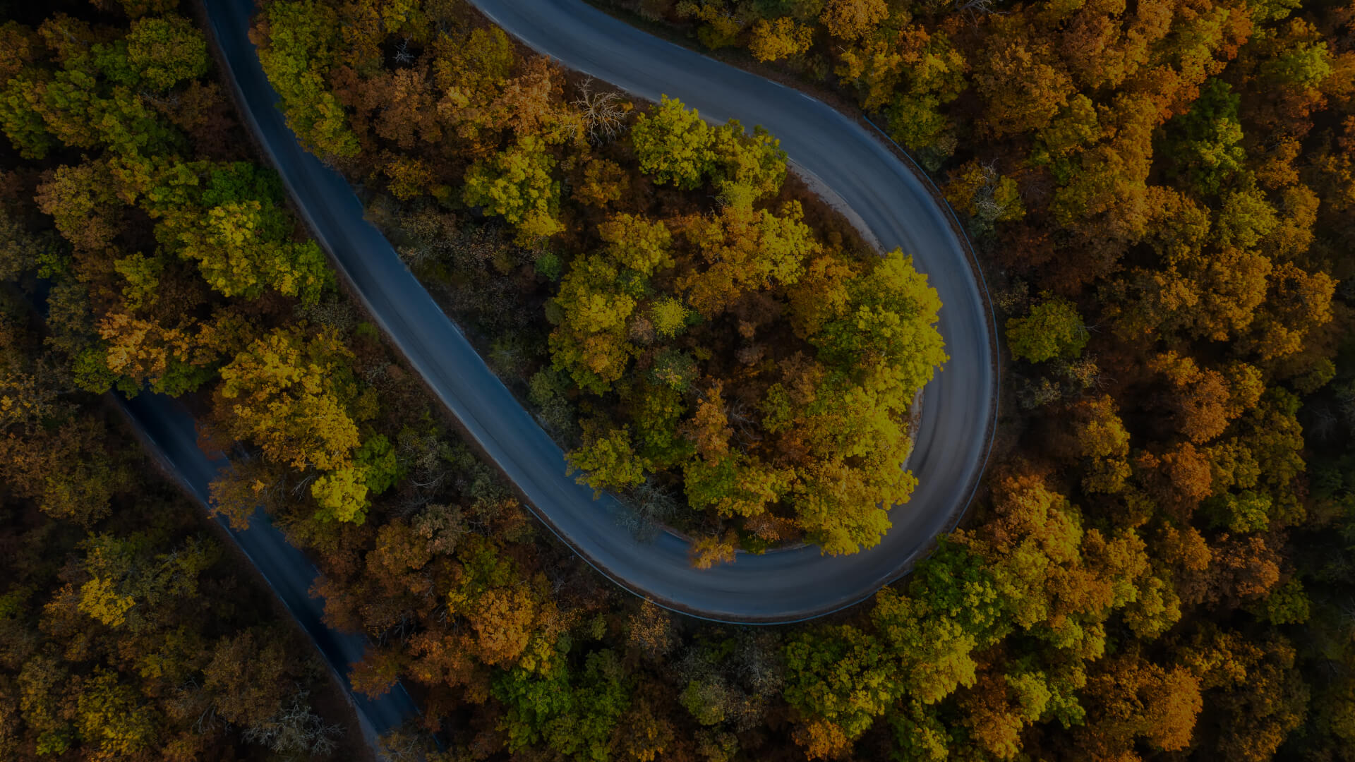 carsync diseño de marca - logo sobre fondo con efecto parallax