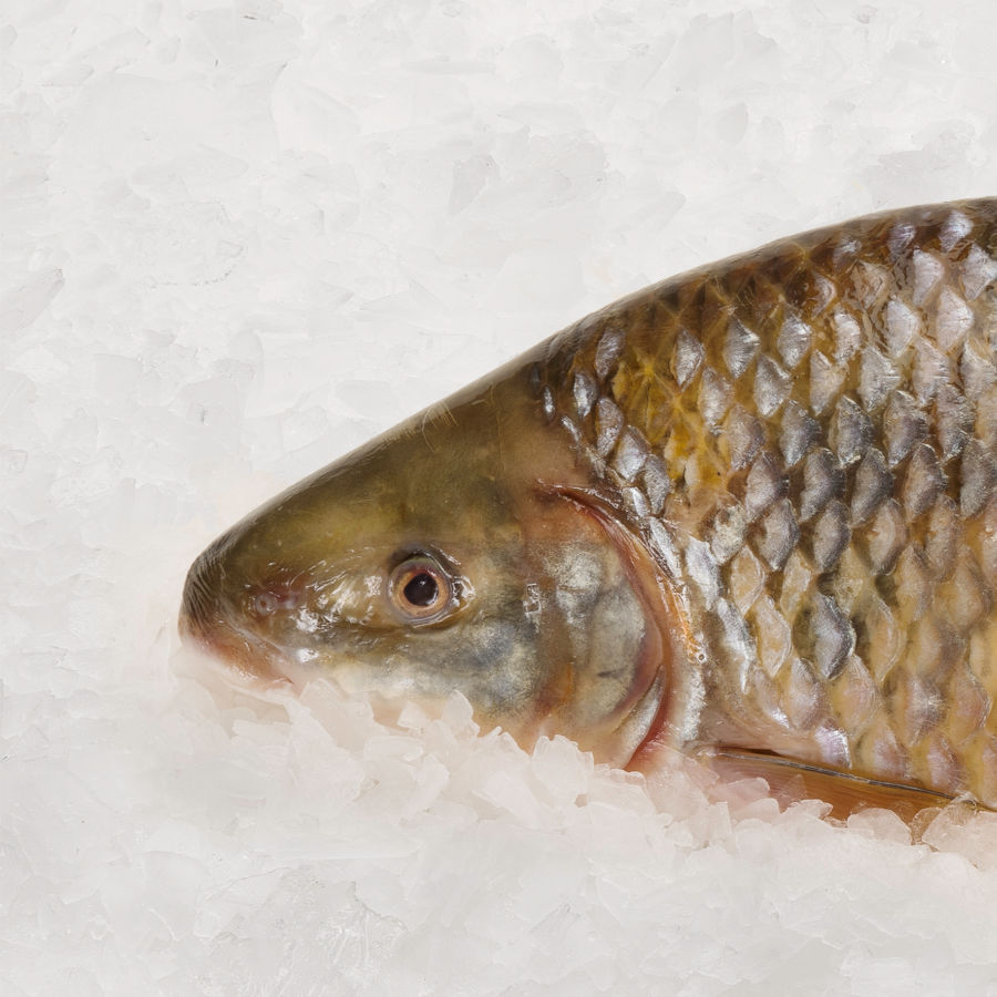 fotografía gastronómica