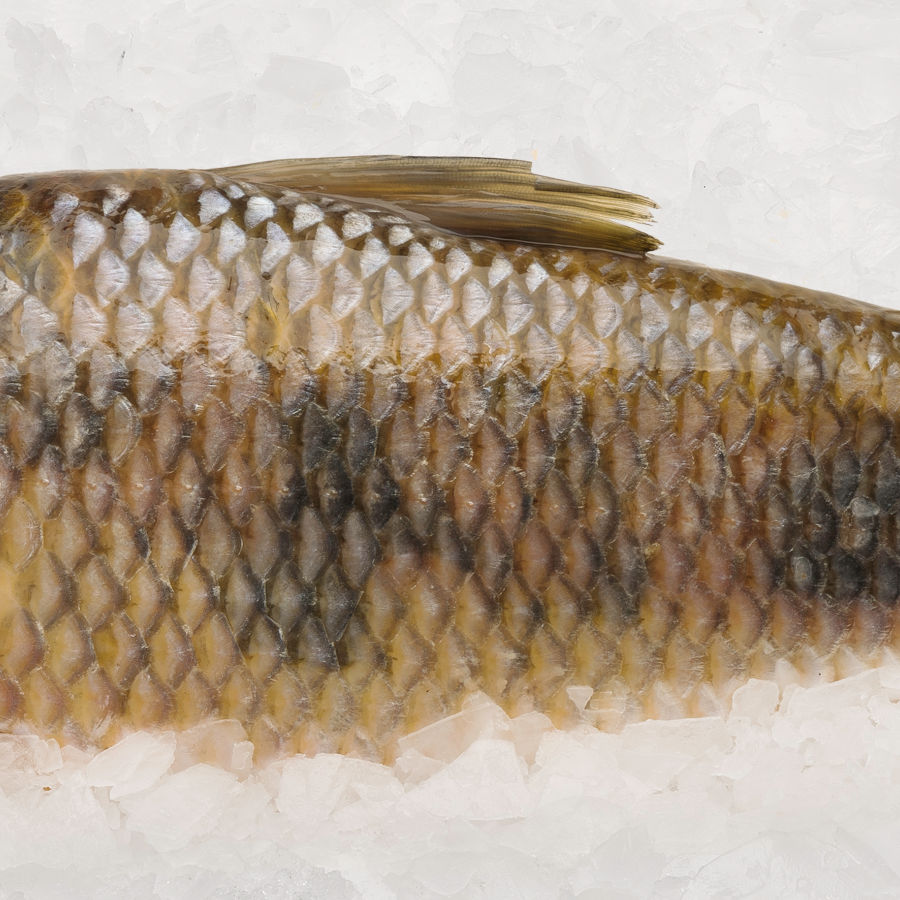 fotografía gastronómica