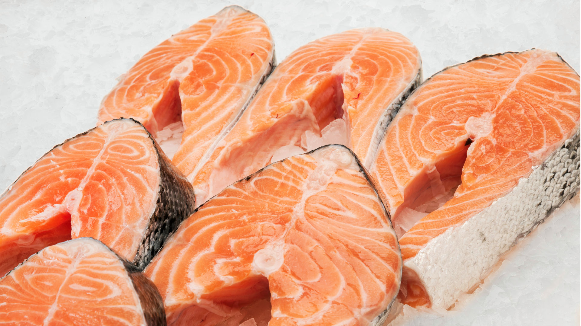 Fotografía gastronómica