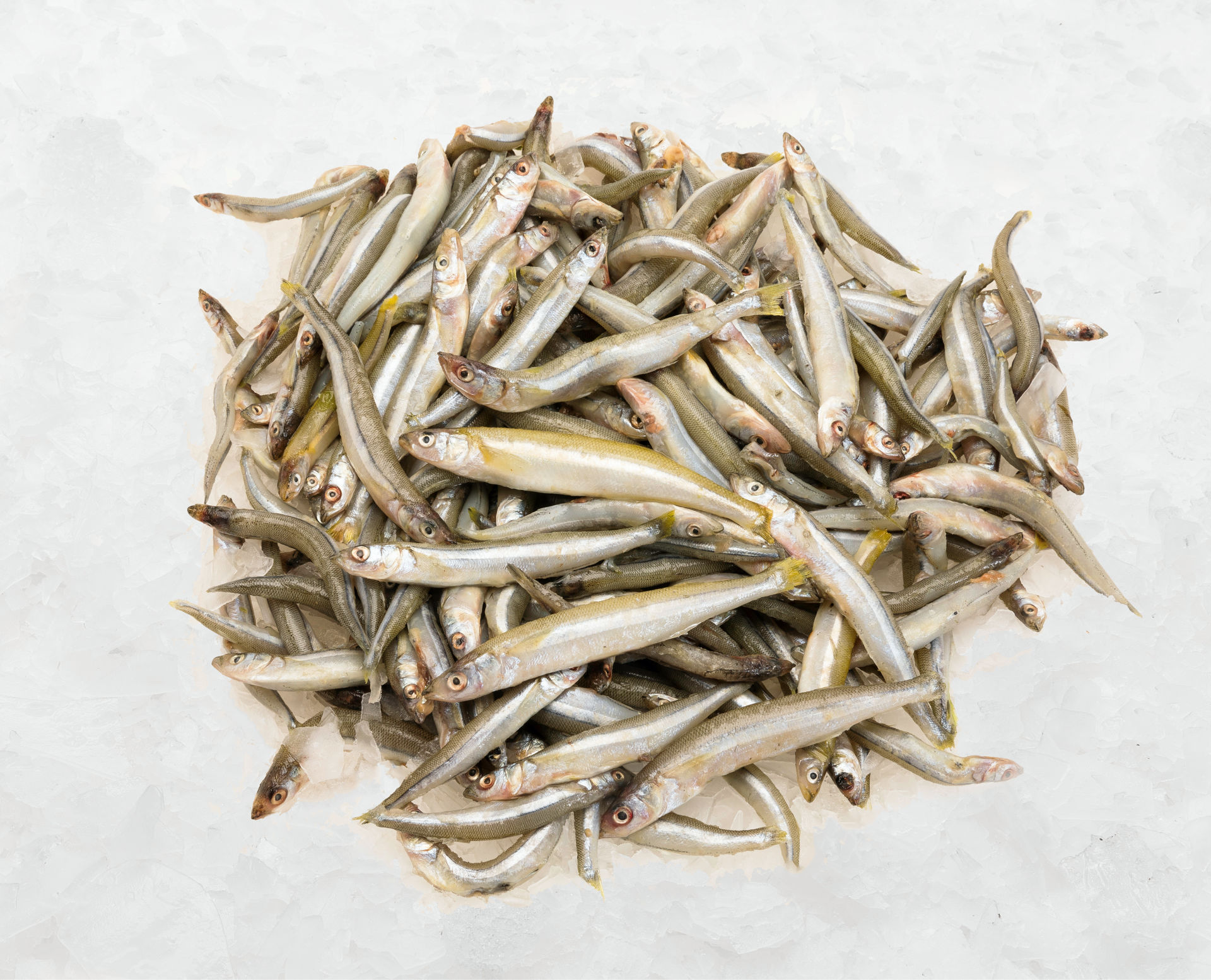 fotografía de producto gastronómico