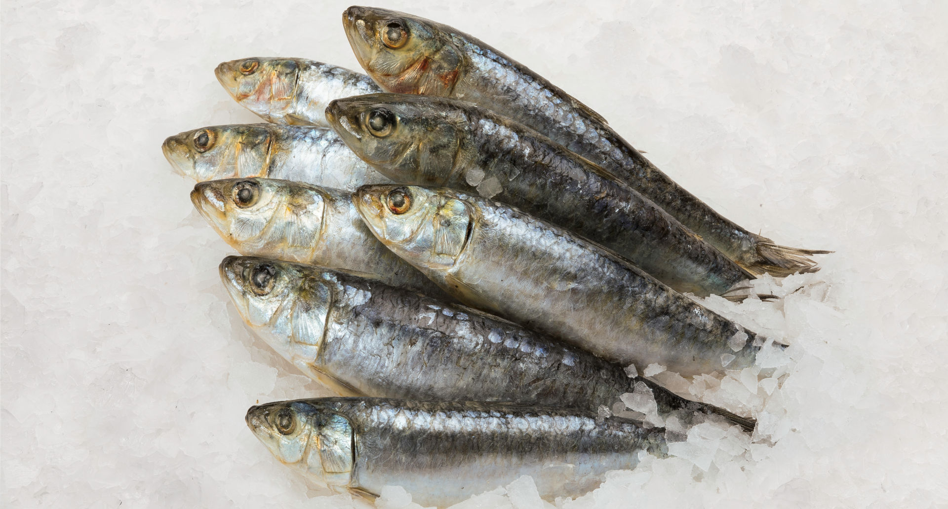 fotografía de producto gasdtronómico