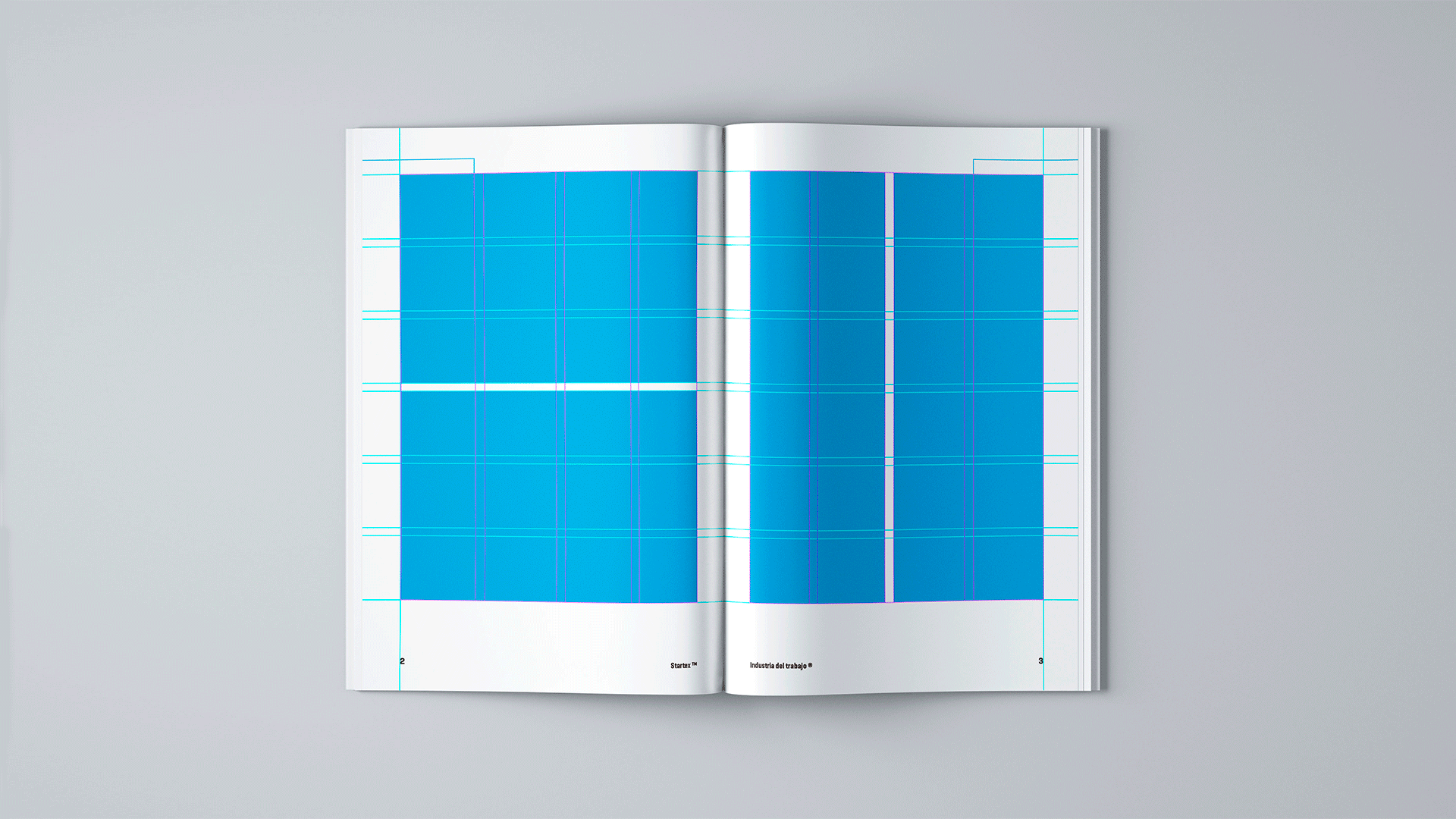 catalogo startex indumentaria variables de grilla